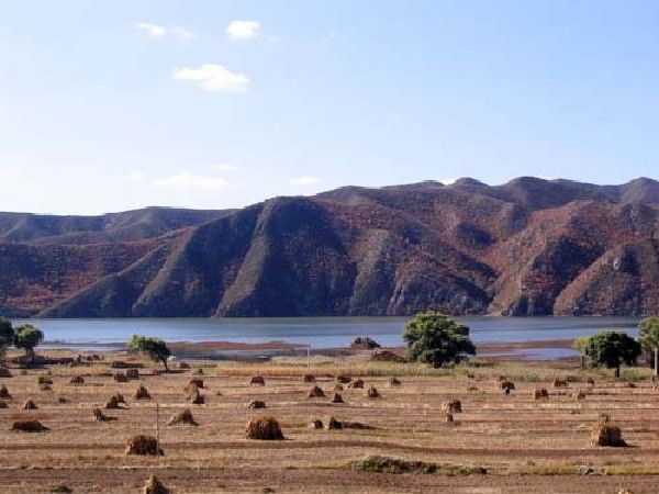 河北沽源壩上 河北沽源壩上