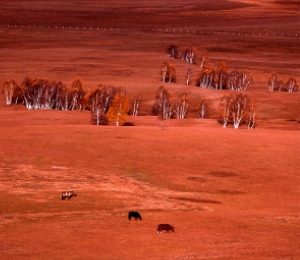 五彩山風(fēng)景區(qū)
